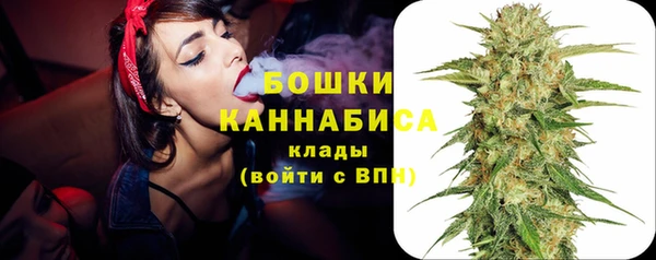 СК Богородск