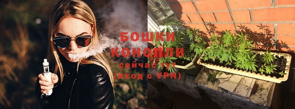 СК Богородск