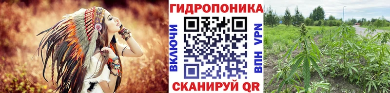 OMG как войти  Улан-Удэ  Бошки марихуана план 